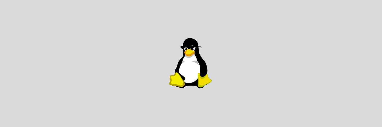 The first step toward becoming a Linux Wizard